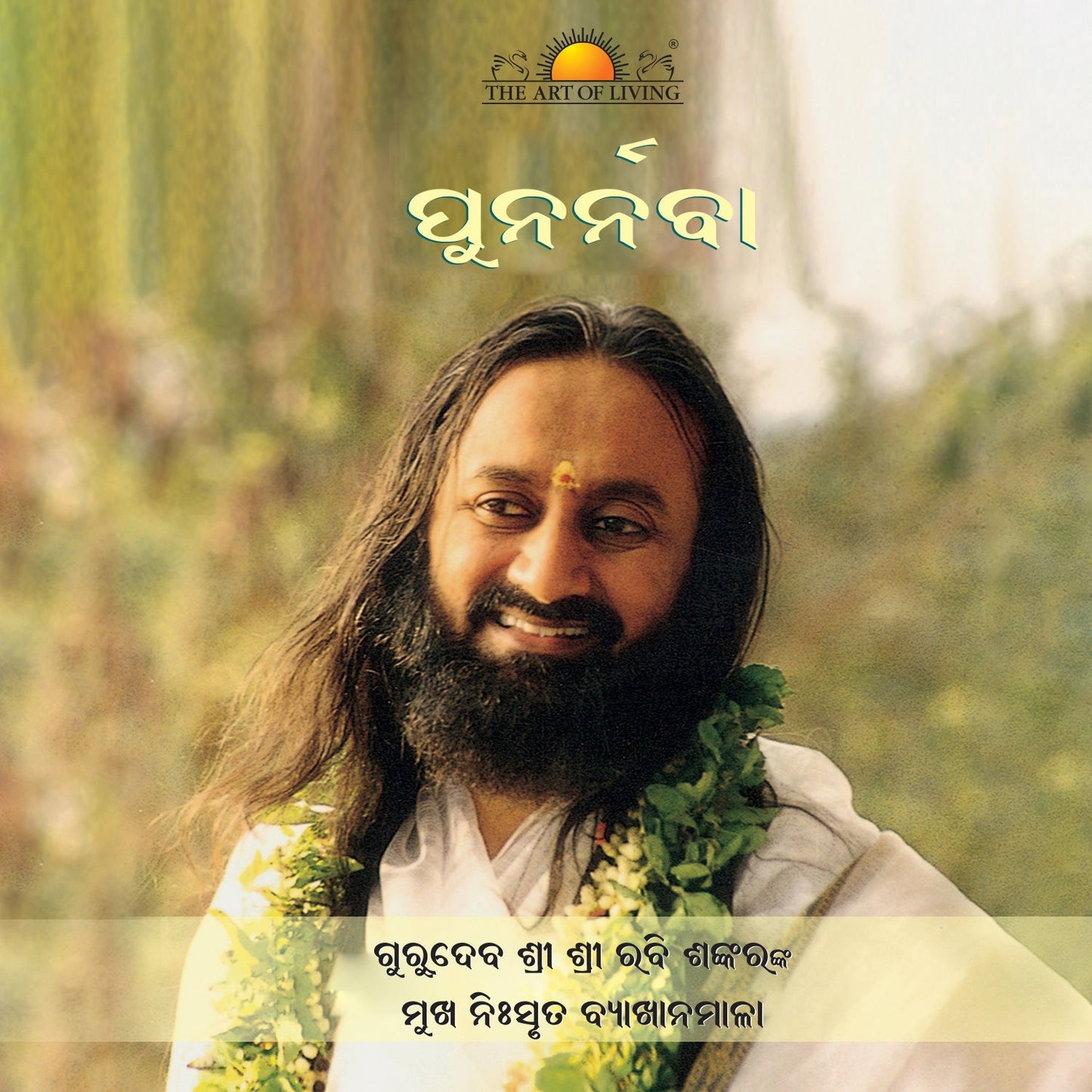 Punarnava - Odia