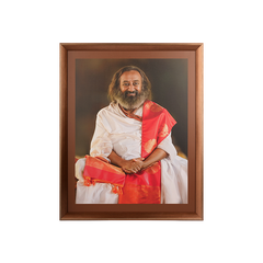 Collection image for: Gurudev Photos