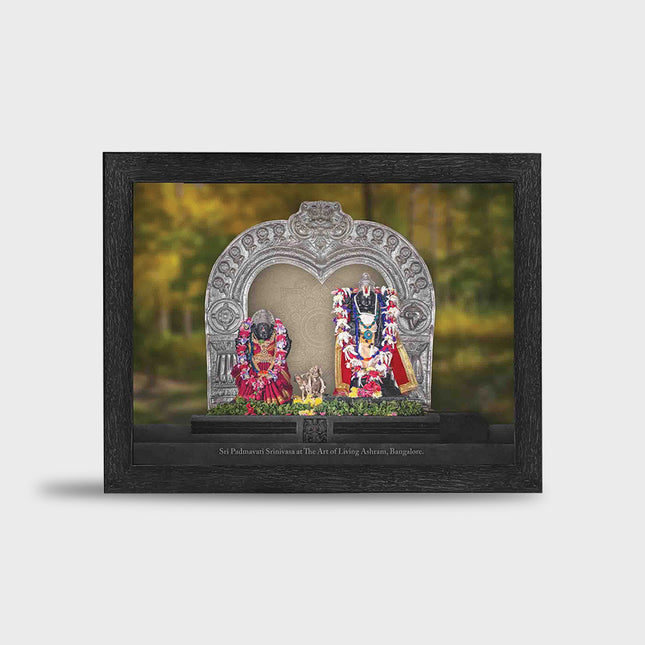 Augmented Reality Photo Frames: Sri Padmavati Srinivasa