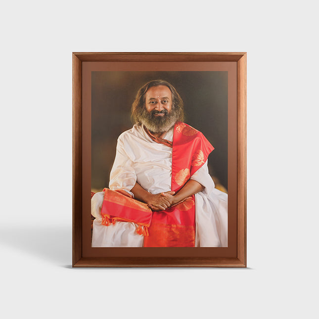 Photo Frame 24 x 30 inch (Sparkle) D