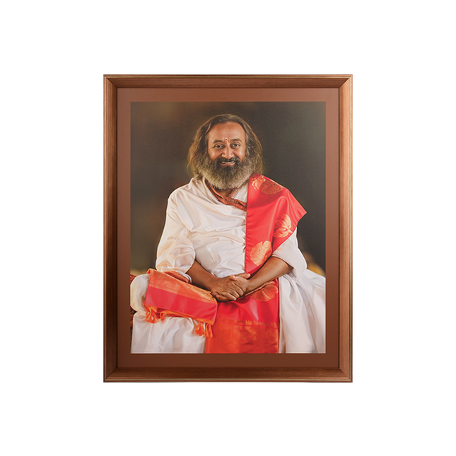 Photo Frame 24 x 30 inch (Sparkle) D