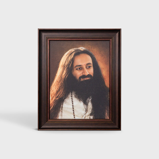 Photo Frame 24 x 30 inch (Sparkle) A - Premium Frame