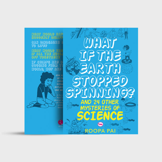 What If The Earth Stopped Spinning?